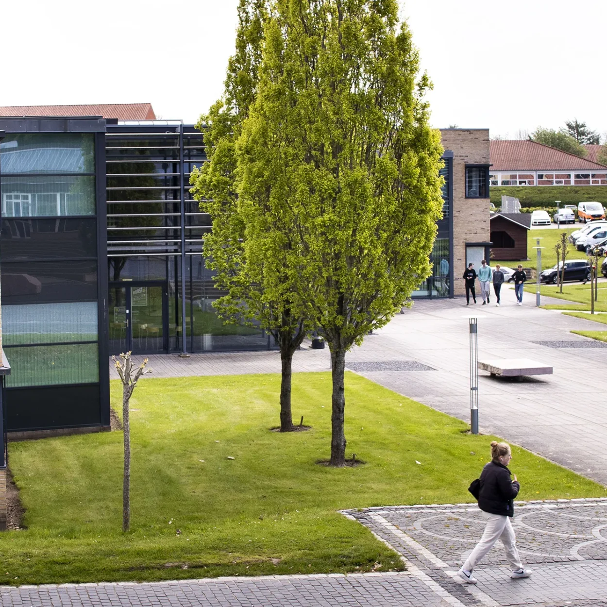 Campus-paa-DJH-hvor-man-kan-blive-elektriker-toemrer-taekkemand-plastmager-og-koeletekniker-aspect-ratio-1250-1250