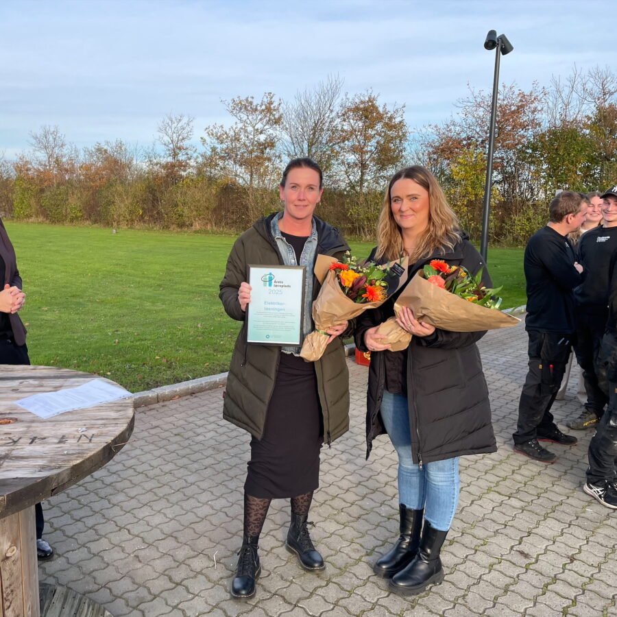 Elektriker-Loesningen-vinder-aarets-laereplads-aspect-ratio-900-900